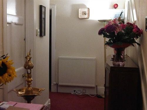 Alcorn Guest House Dundee Ngoại thất bức ảnh